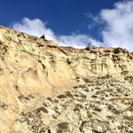 Profile Picture of Bethany Pearson (@bb_pearson) on Instagram