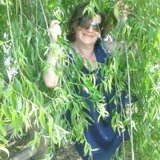 Profile Picture of Filomena Malappione (@Filomena-Malappione) on Facebook