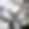 Profile Picture of Lucielle Fields (@@luciellefields) on Tiktok