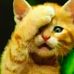 Profile Picture of Abraham Getaneh (@abraham.getaneh.714) on Facebook
