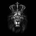 Profile Picture of Ashkan Aghaei (@ashkan.aghaei.167) on Facebook