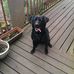 Profile Picture of Mark Teer (@mark.teer.1) on Facebook