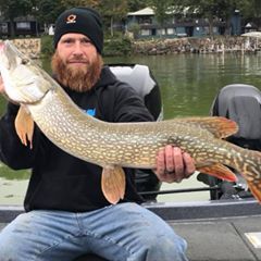 Profile Picture of Robert Knust (@robertknust) on Tiktok