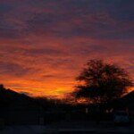 Profile Picture of Sean Hartling (@bigdummbanimal) on Instagram