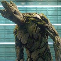 Profile Picture of Thomas Slone (@thomas-slone-1) on Quora