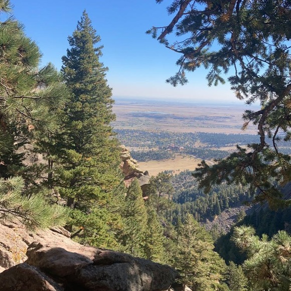 Leila Pratt - Poshmark Profile Picture of Leila Pratt (@leila_pratt13) on Poshmark