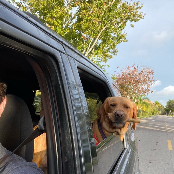 Profile Picture of Richard Shafer (@shav915) on Poshmark