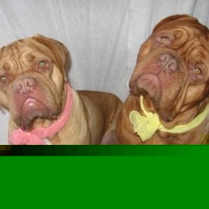 Profile Picture of Anne Kornmann (@343155415) on Myspace