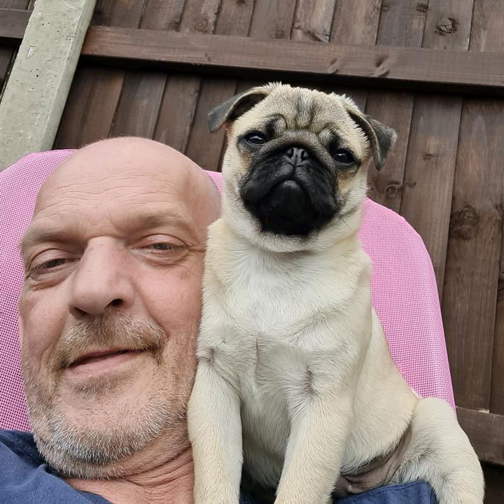 Profile Picture of Andrew Speak (@andrewspeak) on Tiktok