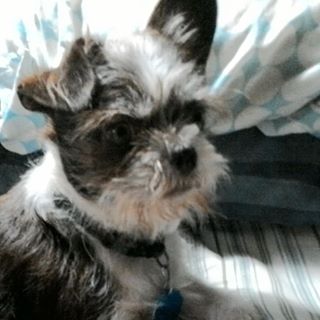 Profile Picture of Karl Sesler (@karl.sesler) on Facebook