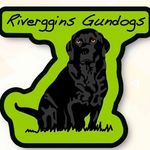 Profile Picture of James Harding (@rivergginsgundogs) on Instagram