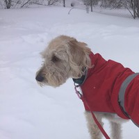 Profile Picture of Steve Luther (@steve-luther-9) on Quora