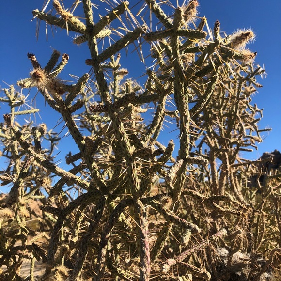 Profile Picture of Danielle Conover (@tireapple) on Poshmark