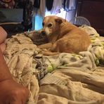 Profile Picture of Randy Haines (@randy.haines.560) on Facebook