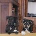 Profile Picture of Paul Reidel (@paul.reidel.50) on Facebook