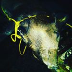 Profile Picture of raymond laythe womack (@wild_boy2019) on Instagram