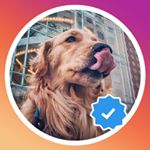 Profile Picture of LOLA DAVIDSON (@chasityperry__2141) on Instagram