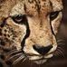 Profile Picture of David McAvaney (@david.mcavaney.3) on Facebook