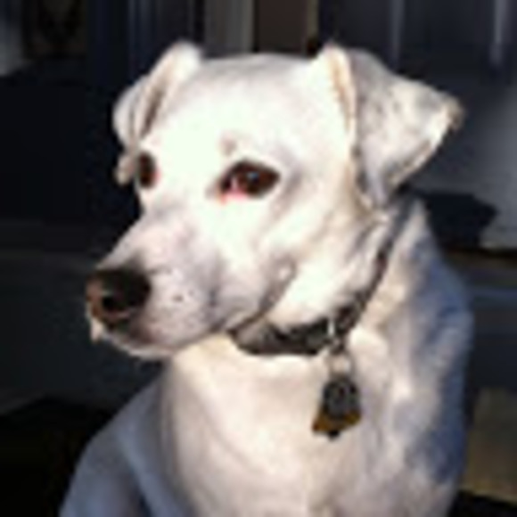 Profile Picture of Danielle Howlett (@d_howlett) on Poshmark