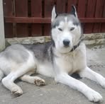 Profile Picture of LilyMay Gillick (@Lily-May-Gillick) on Facebook