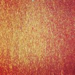 Profile Picture of ♡ Dawn & Jesse ♡ (@mercilessgrace) on Instagram