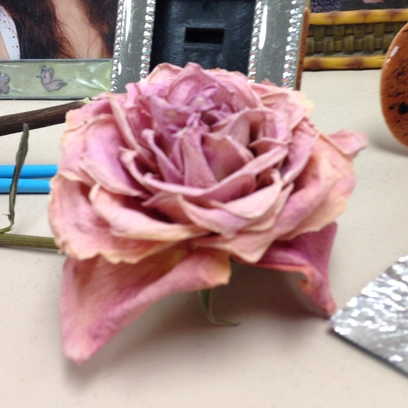 Profile Picture of Lisa Coser (@792694) on Poshmark