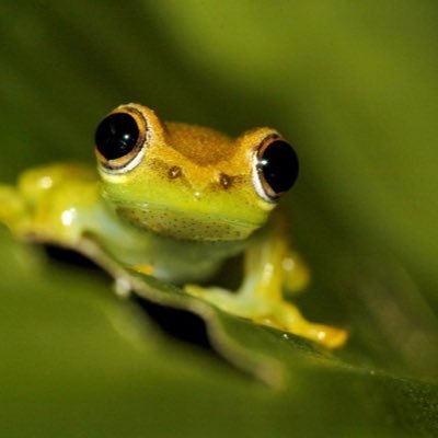 Profile Picture of Neil David Burgess (@NeilBurgess081) on Twitter