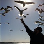 Profile Picture of Marc Bloch (@macaronimarc) on Instagram