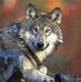 Profile Picture of Robert Wójcik (@robert.wojcik.96558) on Facebook