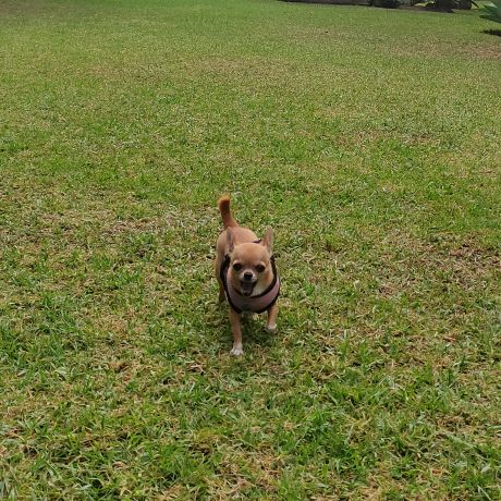 Profile Picture of Connie Little (@connie.little5) on Tiktok