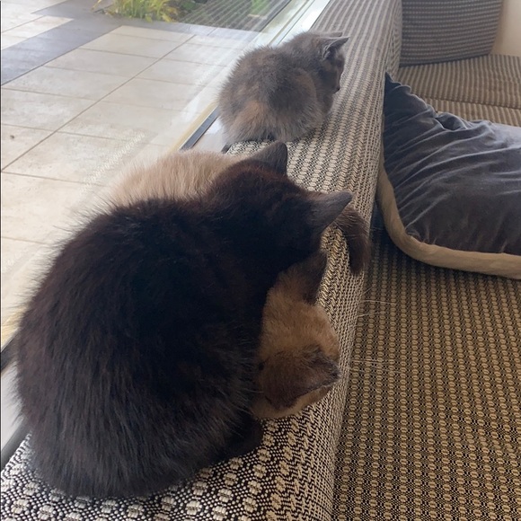 Profile Picture of Tamra Josephson (@tamjo77) on Poshmark