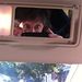 Profile Picture of Susan Peters Pressman (@peterspressman) on Pinterest