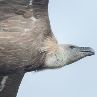 Profile Picture of Albert Tanguy (@albert.tanguy) on Facebook