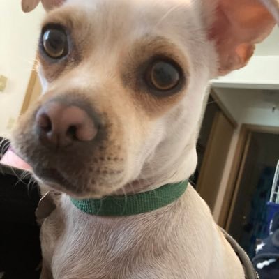 Profile Picture of Alexandria Susan Kay Chadwick (@AlexandriaSusa4) on Twitter