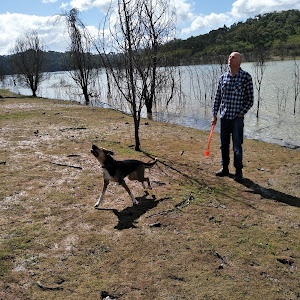 Profile Picture of mark hughson (@mark.hughson) on Tiktok