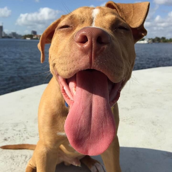 Profile Picture of Joey Mahoney (@jyakymiw) on Poshmark