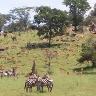 Profile Picture of Paul Thomann (@paul.thomann.31) on Facebook