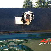 Profile Picture of Larry Matherly (@larrymatherly7265) on Youtube