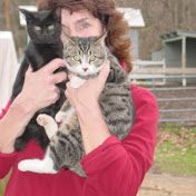 Profile Picture of Beth Hansen (@bethhansen9404) on Youtube