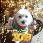 Profile Picture of Alicia Kuhn (@aliciakuhn_) on Instagram