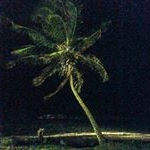 Profile Picture of Chase Kohler (@photos_by_ctk) on Instagram