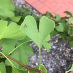 Profile Picture of Olivia Woosley (@woooooooooooooozy) on Instagram