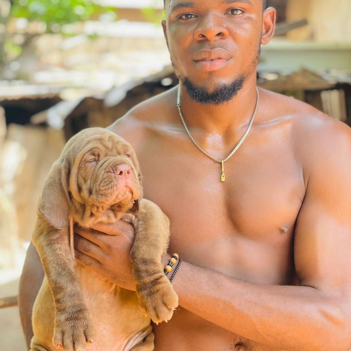 Profile Picture of kennethken (@kennethken090) on Tiktok