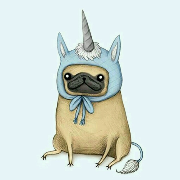 Samantha Bozzone - Poshmark Profile Picture of Samantha Bozzone (@spaghetti91) on Poshmark