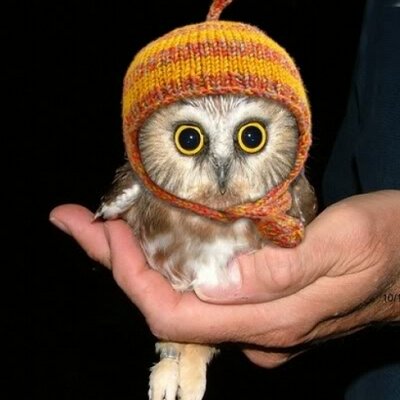 Profile Picture of ChrisGribble (@ChrisGribble) on Twitter