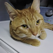 Profile Picture of Josh Neri (@joshneri912) on Youtube