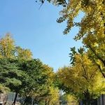 Profile Picture of Kenny Jang (@kenny.jang) on Instagram