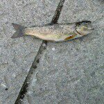 Matthew Garnett - Instagram Profile Picture of Matthew Garnett (@matthewgarnett) on Instagram