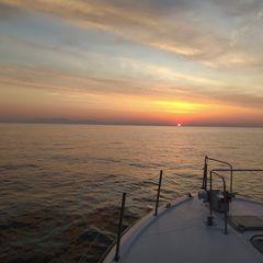 Profile Picture of James Giannisis (@james.giannisis) on Tiktok