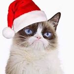 Profile Picture of Phyllis Leach (@leachphyllis) on Instagram